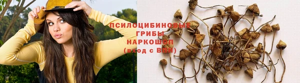 дурь Белоозёрский