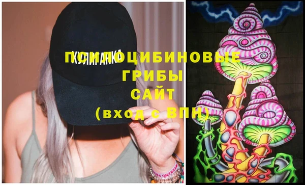 дурь Белоозёрский