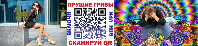 где продают наркотики  Чекалин  OMG ТОР  Псилоцибиновые грибы Cubensis 